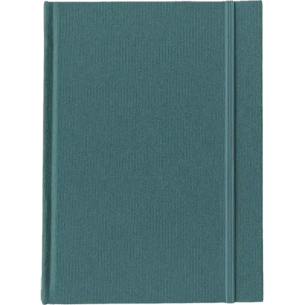 RIPL Notebook