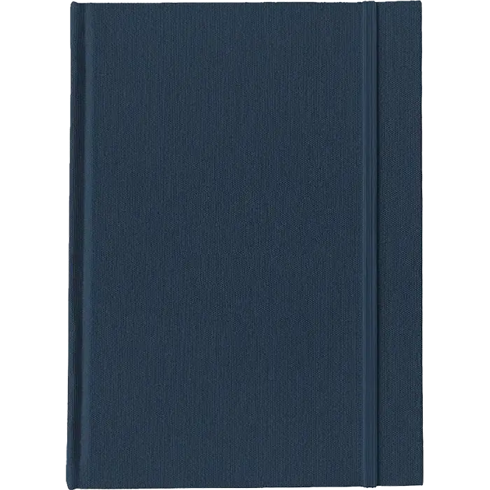 RIPL Notebook