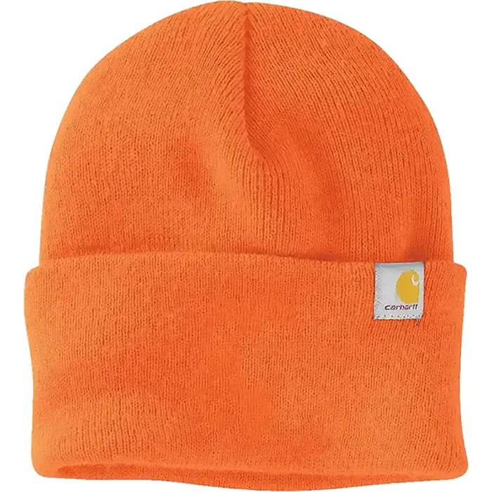 Carhartt Watch Cap 2.0