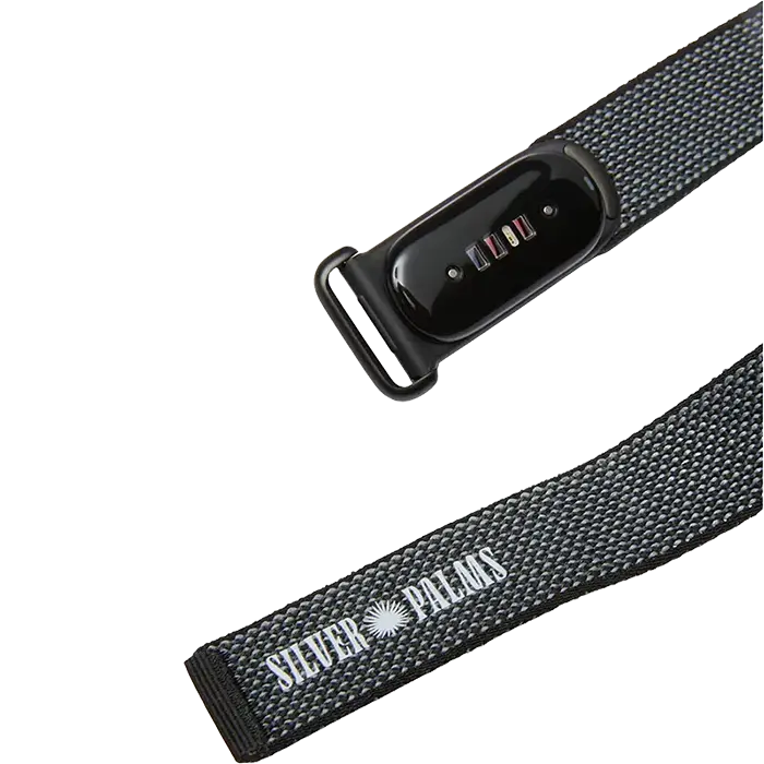 Google Fitbit Air