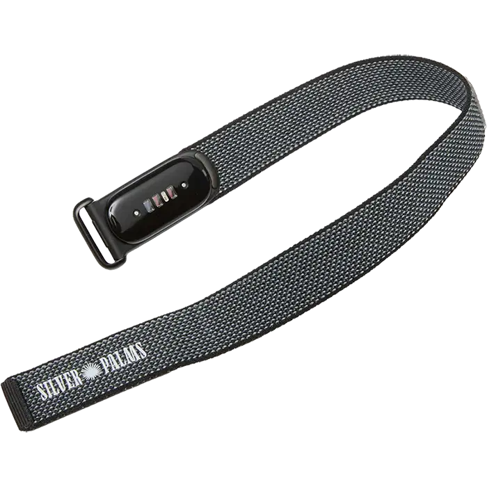 Google Fitbit Air
