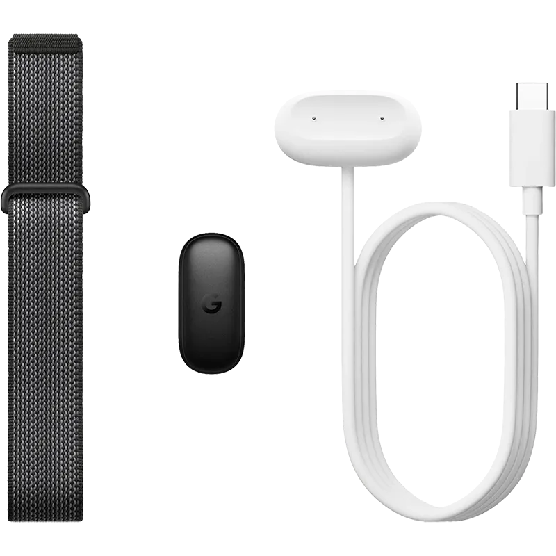 Google Fitbit Air