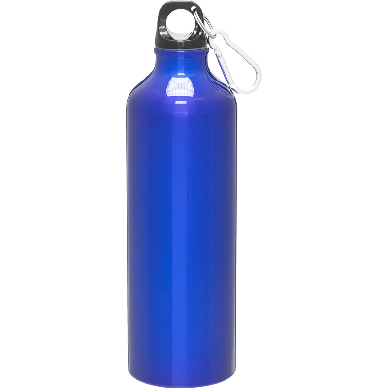 h2go aluminum classic bottle 24oz