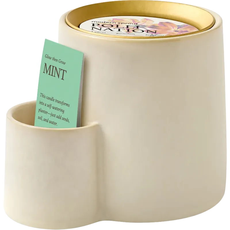Modern Sprout Ember Earth Candle + Planter
