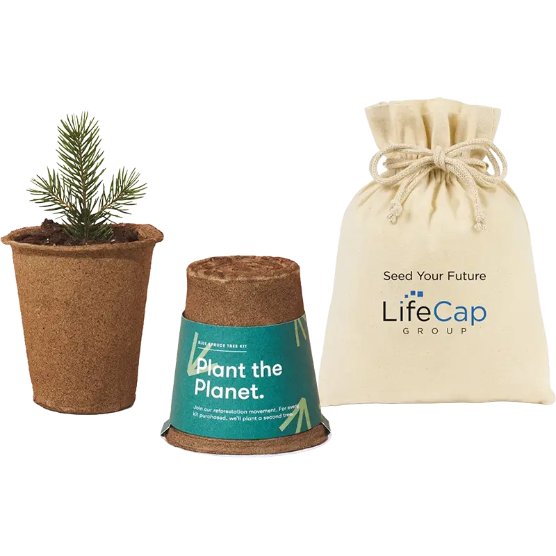 Modern Sprout One For One Tree Kits