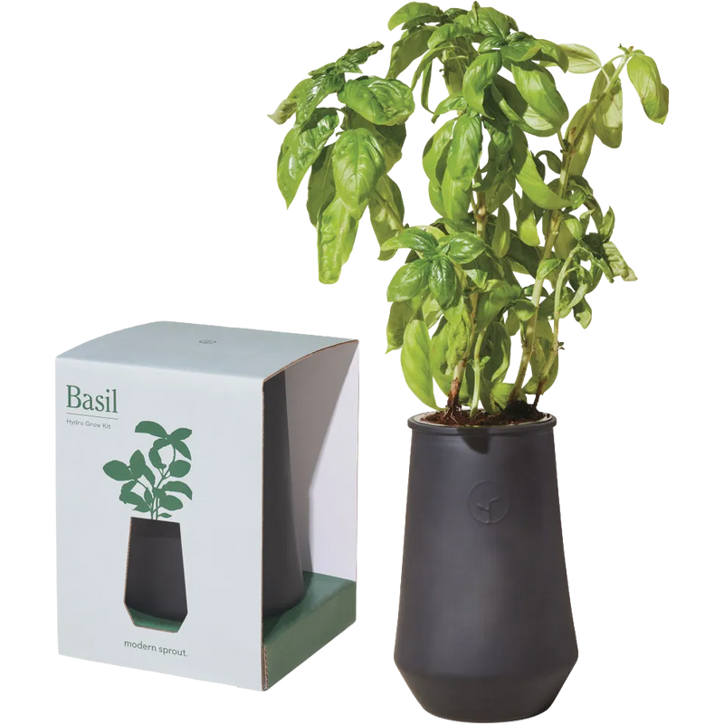 Modern Sprout Tapered Tumbler Grow Kit