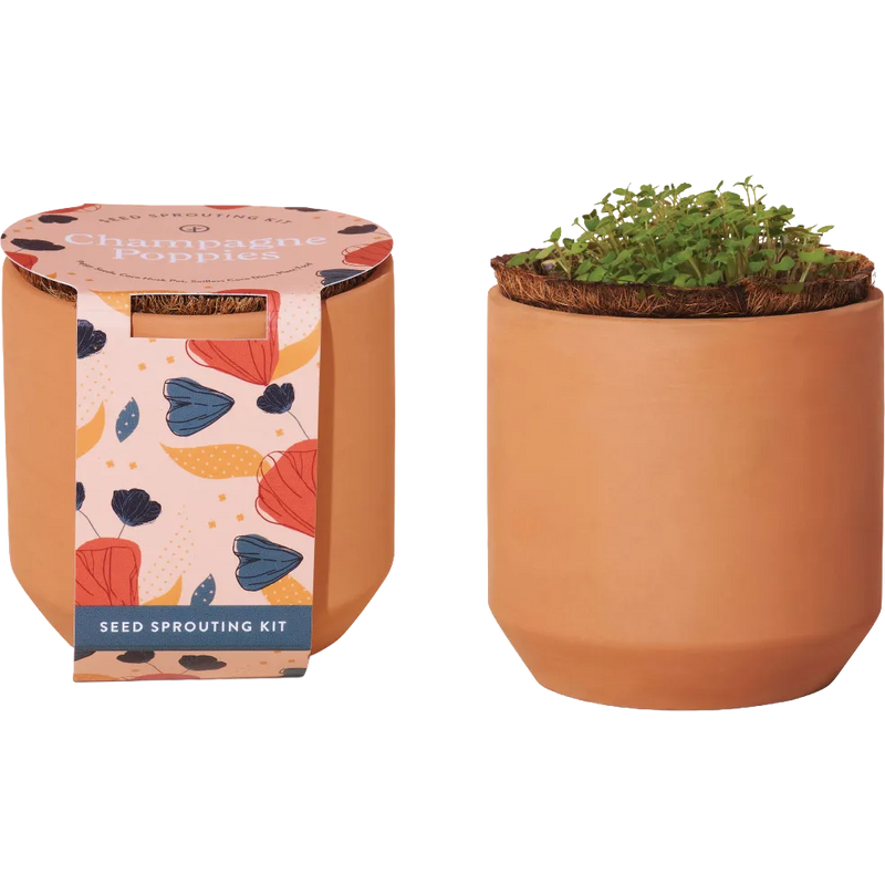 Modern Sprout® Tiny Terracotta Grow Kit Champagne Poppies