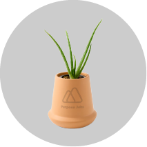 BIPOC_Icons_Modern_Sprout_1.webp