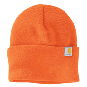 Carhartt Watch Cap 2.0