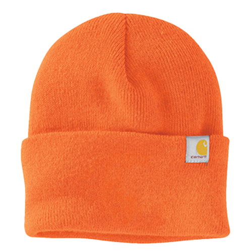 Carhartt Watch Cap 2.0