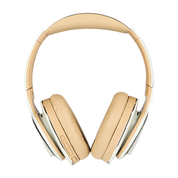 Cleer Enduro 100 Bluetooth Headphones