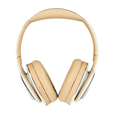 Cleer Enduro 100 Bluetooth Headphones