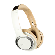 Cleer Enduro 100 Bluetooth Headphones