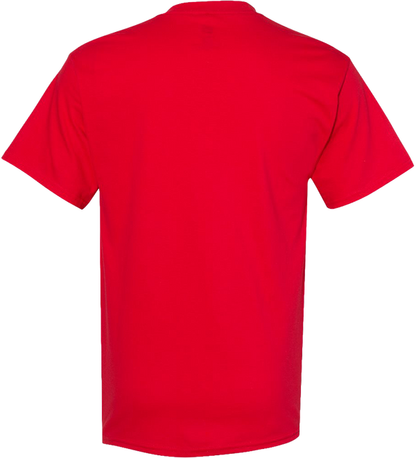 Hanes-Essential-T-T-Shirt-Athletic-Red-Back.webp