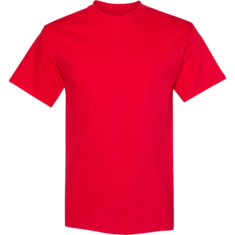 Hanes Essential-T T-Shirt