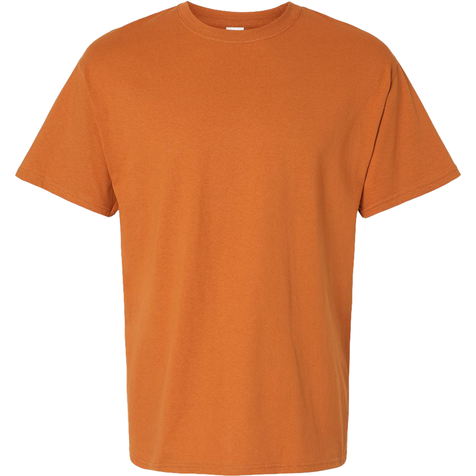 Hanes Essential-T T-Shirt
