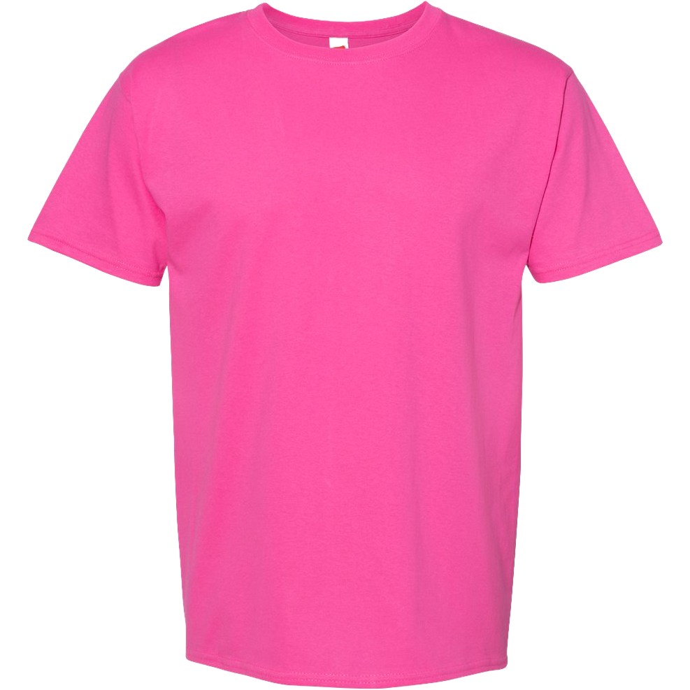 Hanes Essential-T T-Shirt