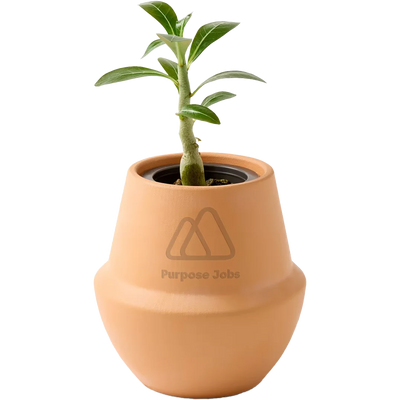 Modern Sprout® Modern Terracotta Grow Kit Bonsai
