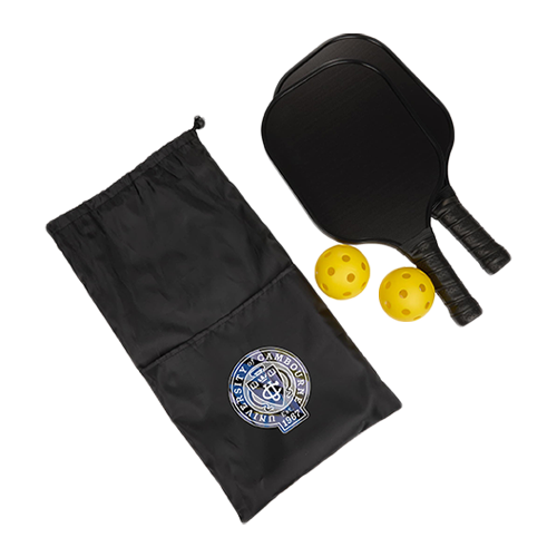 Premium Pickleball Paddle and Ball Set