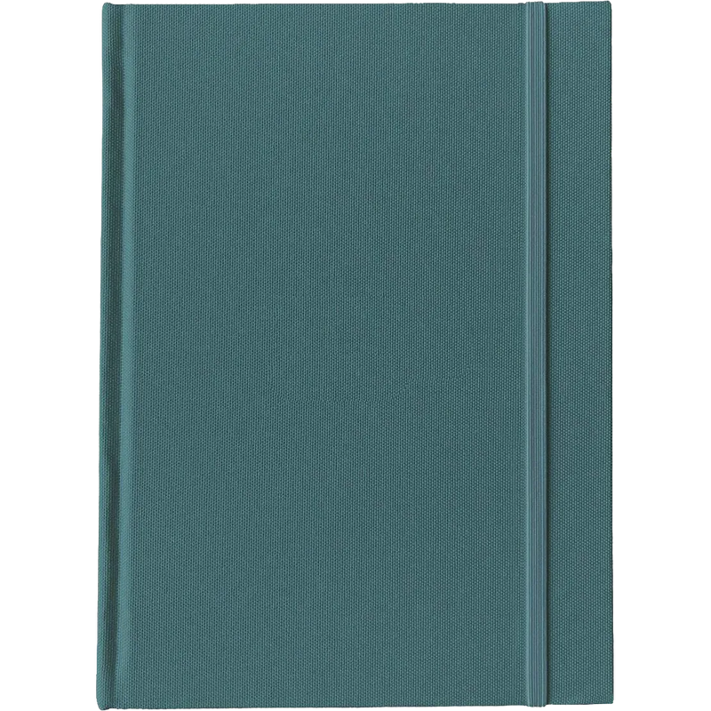 RIPL Notebook