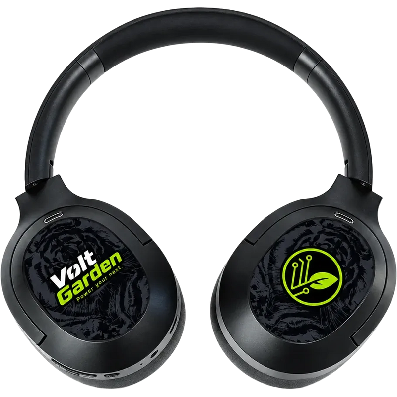 Back  to Black Bundle