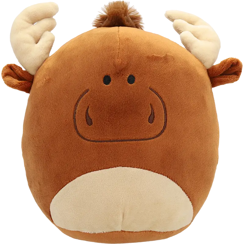 Custom Plush Pillows