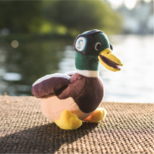 Custom Plushie