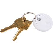 Keychain with a white spherical device and two gold keys on a white backgroun