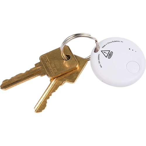 Keychain with a white spherical device and two gold keys on a white backgroun