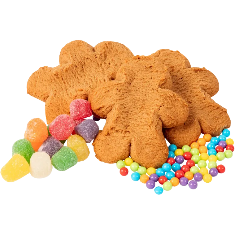 Ginger Buddies Decorating Kit