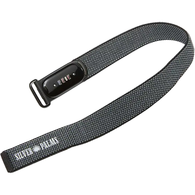 Google Fitbit Air
