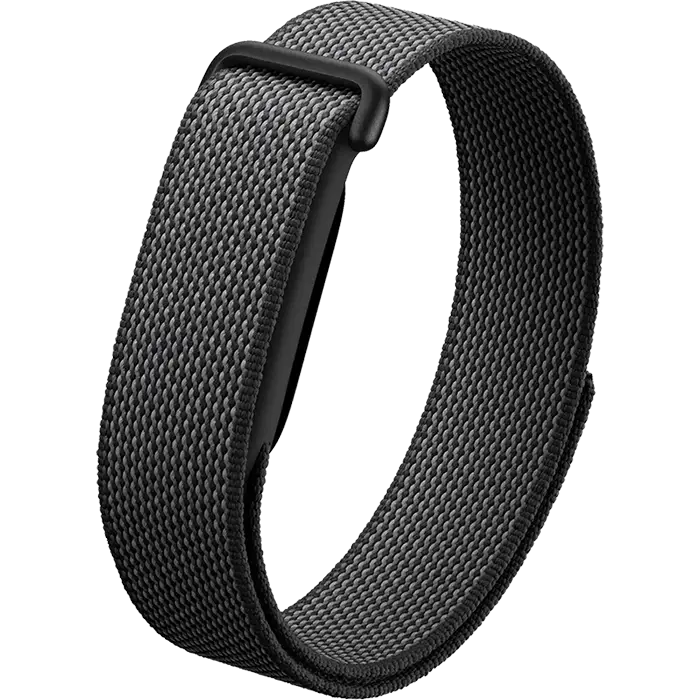 Google Fitbit Air