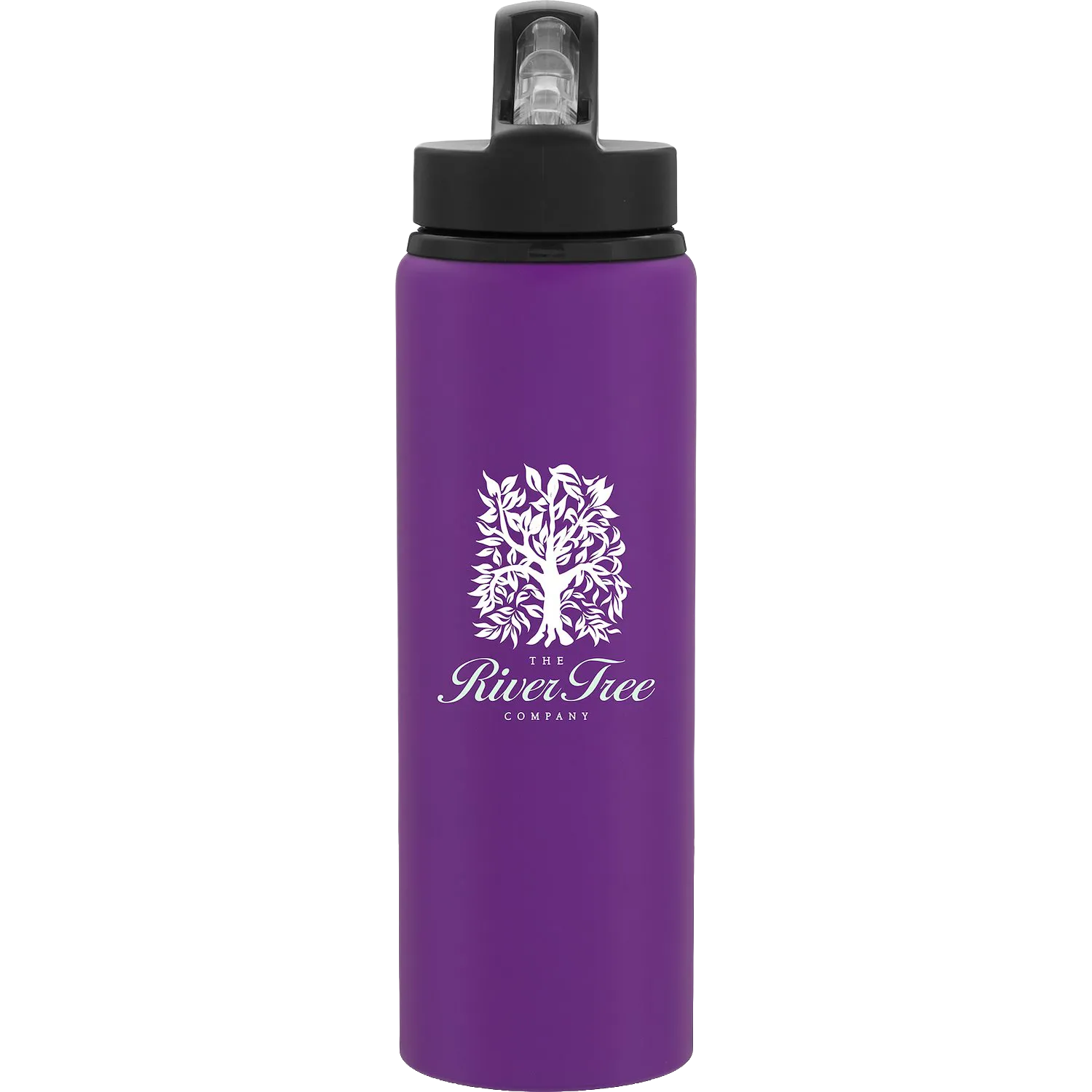 h2go Virtue 26 oz bottle