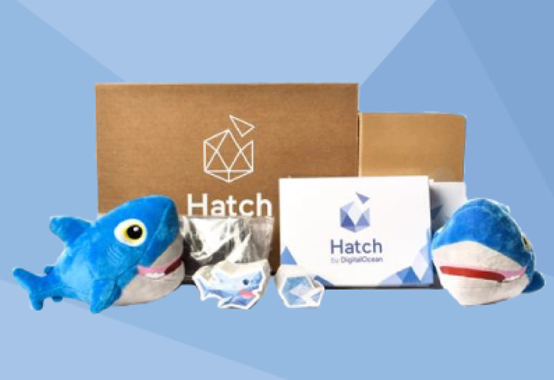 A kit for every occasion