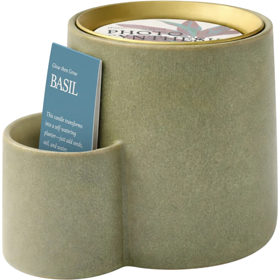 Modern Sprout Ember Earth Candle + Planter