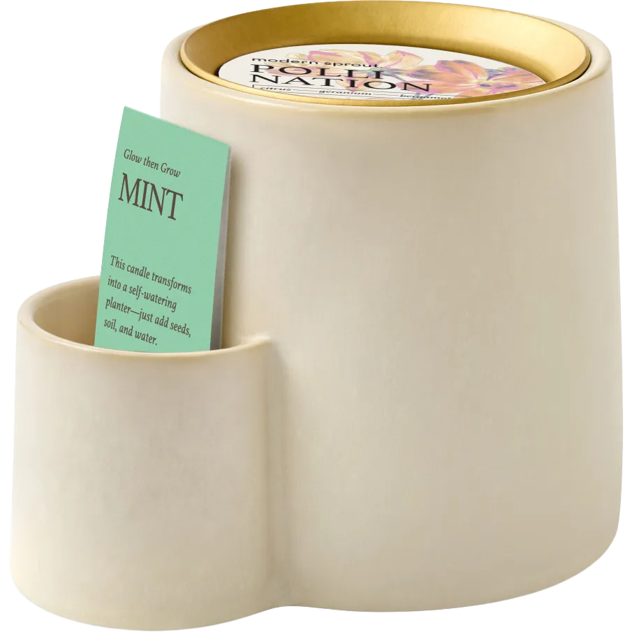 Modern Sprout Ember Earth Candle + Planter