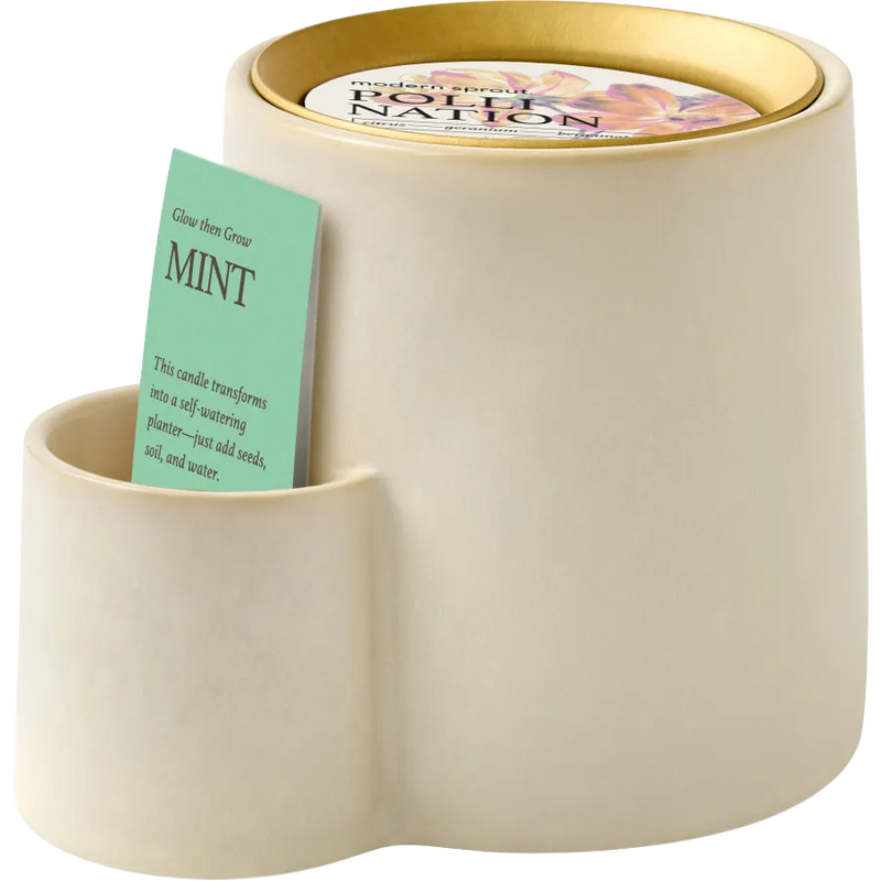 Modern Sprout Ember Earth Candle + Planter