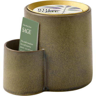 Modern Sprout Ember Earth Candle + Planter