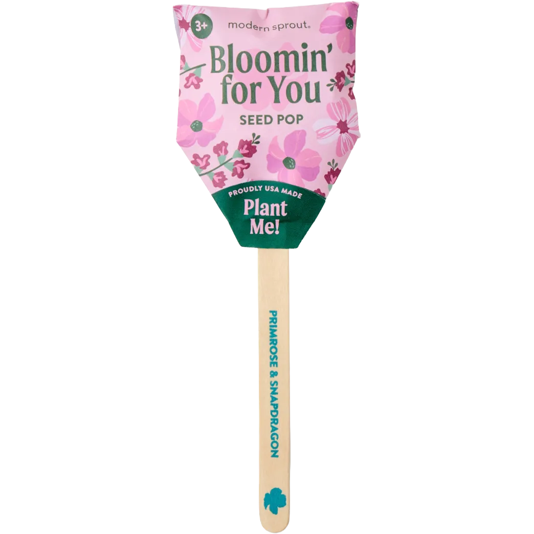 Modern Sprout Flower Seed Pop