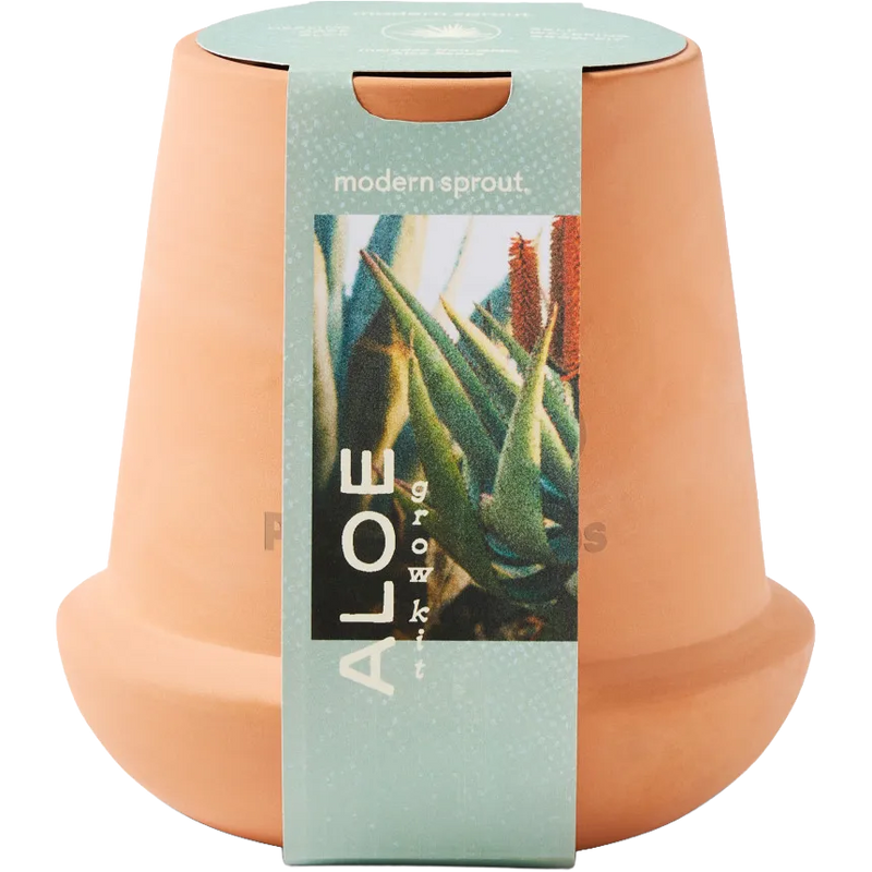 Modern Sprout® Modern Terracotta Grow Kit Aloe