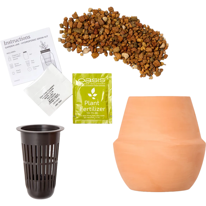 Modern Sprout® Modern Terracotta Grow Kit Bonsai