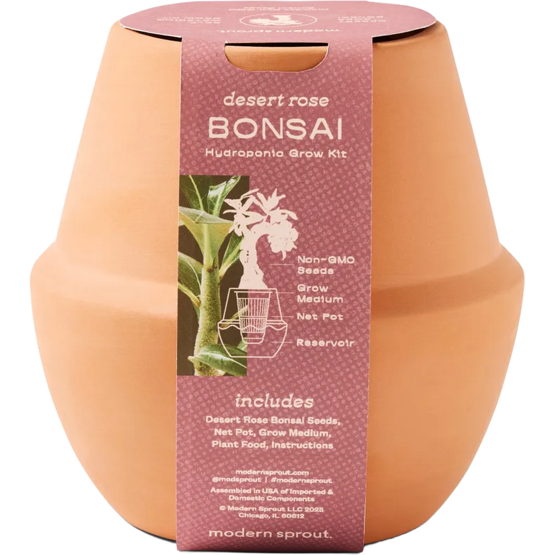 Modern Sprout® Modern Terracotta Grow Kit Bonsai