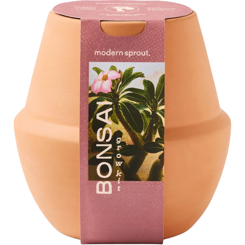 Modern Sprout® Modern Terracotta Grow Kit Bonsai
