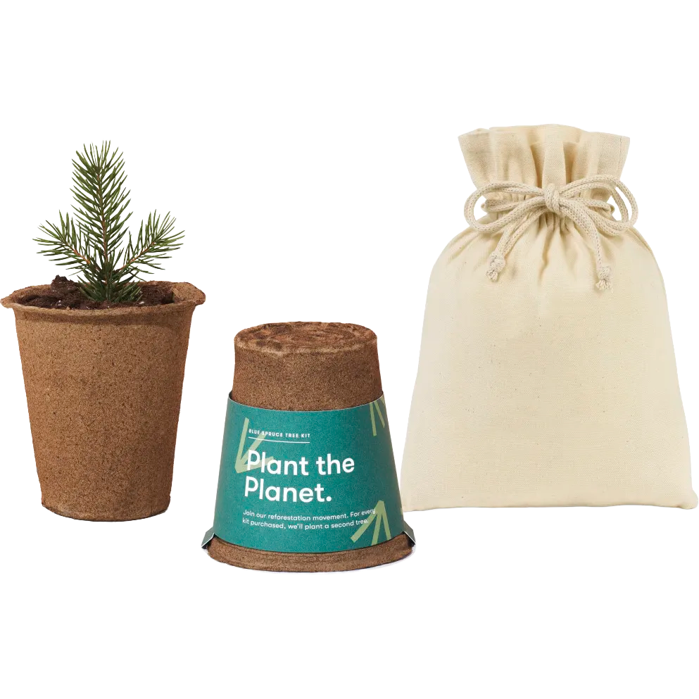 Modern Sprout® One For One Tree Kits