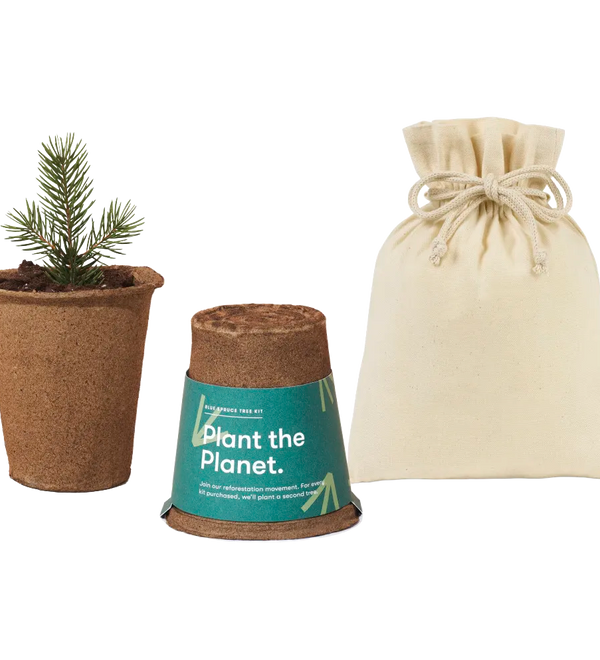 modern-sprout-one-for-one-tree-kits-spruce.webp