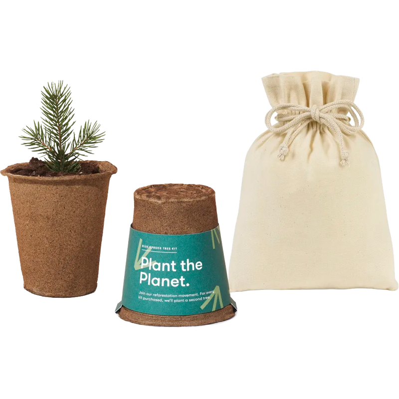 Modern Sprout® One For One Tree Kits