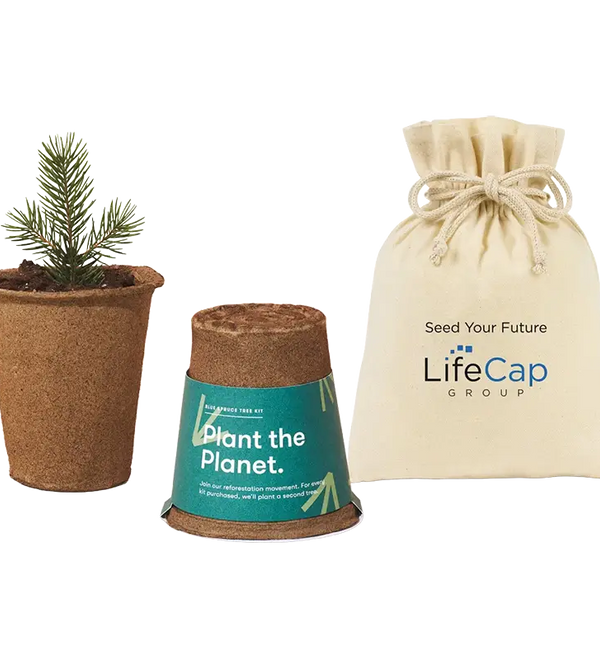 modern-sprout-one-for-one-tree-kits-spruce_3609f4fc-d39f-48e3-925a-71a460e1db1e.webp