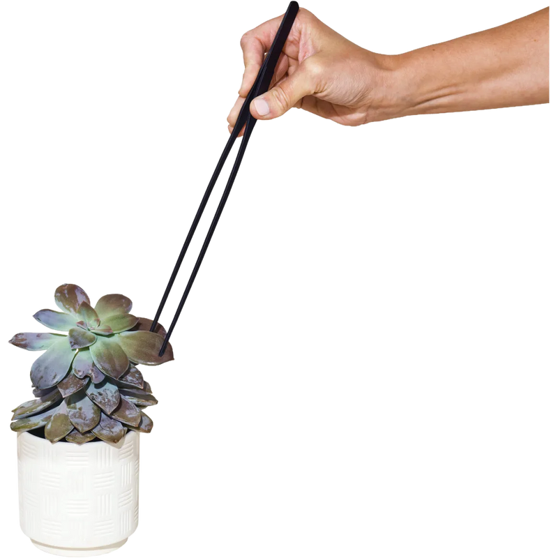 Modern Sprout® Plant Parent Care Kit