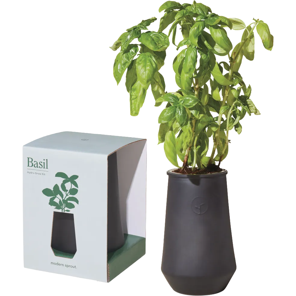 Modern Sprout Tapered Tumbler Grow Kit