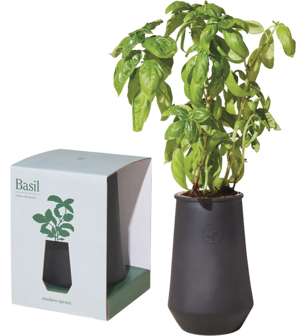 modern-sprout-tapered-tumbler-grow-kit-black_2.webp